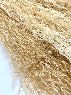 Stuff: Love Grass cream I 30 bunches pack