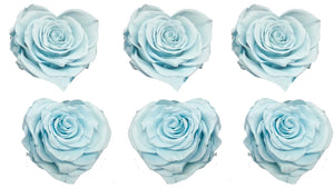 Large Heart: Baby Blue Heart Shape  Preserved Rose *Box of 6 Preserved Rose Heart Heads