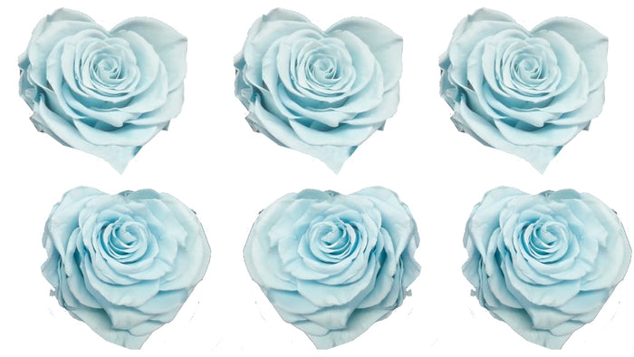 Large Heart: Baby Blue Heart Shape  Preserved Rose *Box of 6 Preserved Rose Heart Heads