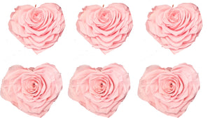 Large Heart: Blush Pink Heart Shape  Preserved Rose *Box of 6 Preserved Rose Heart Heads