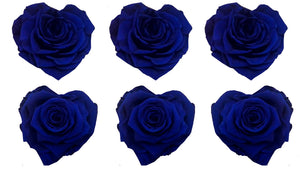 Large Heart: Royal Blue Heart Shape  Preserved Rose *Box of 6 Preserved Rose Heart Heads