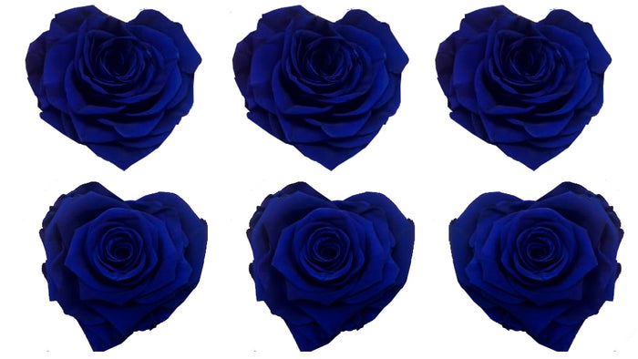 Large Heart: Royal Blue Heart Shape  Preserved Rose *Box of 6 Preserved Rose Heart Heads
