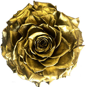 Jumbo rose: Metallic pearl Gold Jumbo Rose
