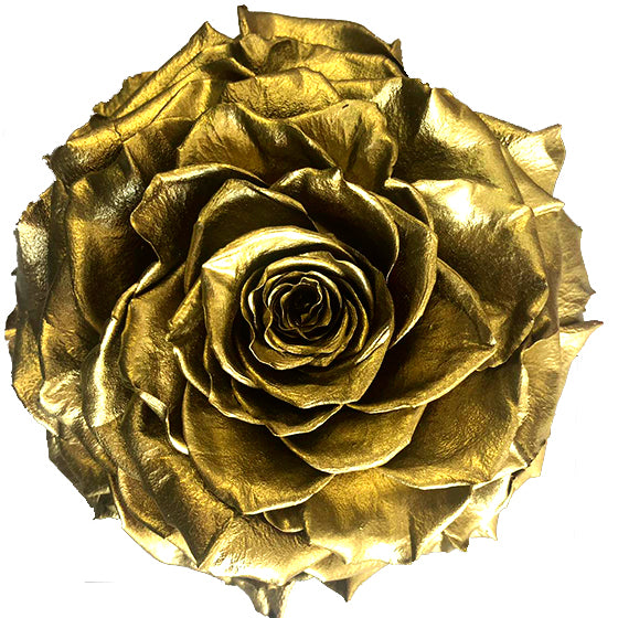 Jumbo rose: Metallic pearl Gold Jumbo Rose