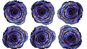 Medium: Purple Confetti Preserved Rose * Box of 6 Preserved Rose Heads