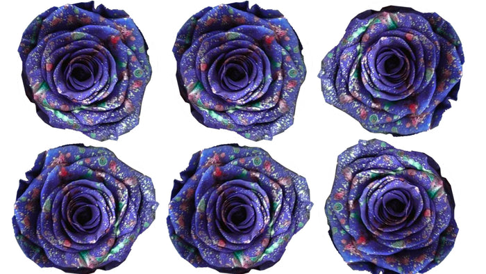 Medium: Purple Confetti Preserved Rose * Box of 6 Preserved Rose Heads