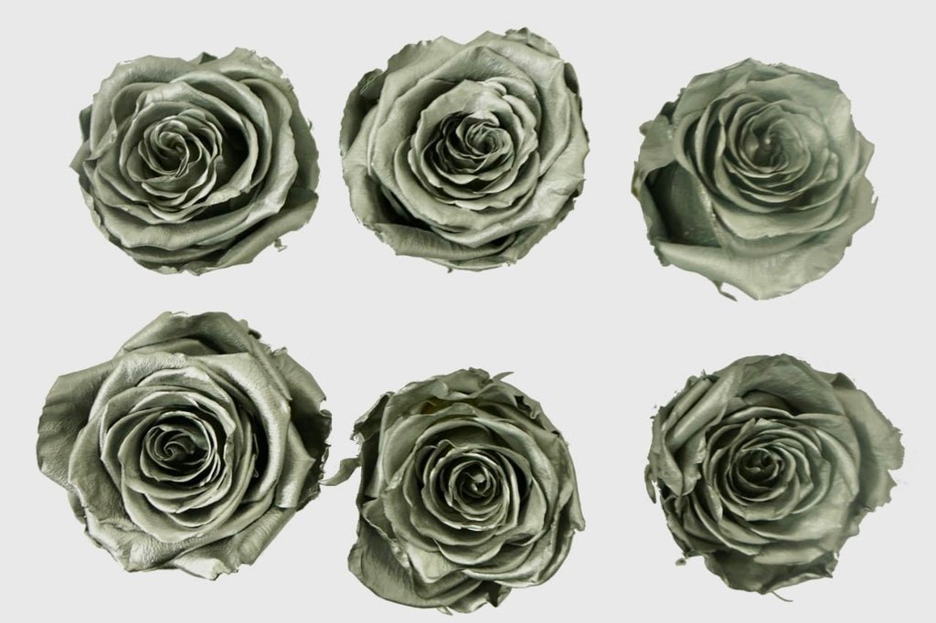 Large: Silver Preserved Large Rose * Box of 6 Preserved Rose Heads
