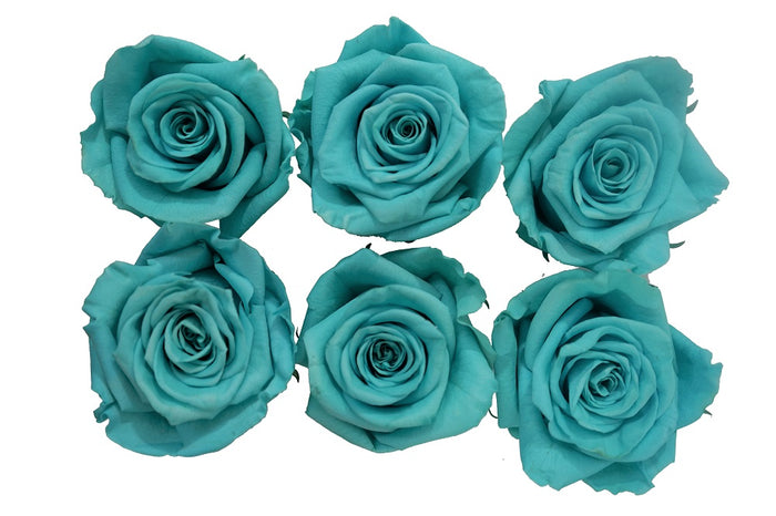 Medium: Tiffany  Preserved Rose * Box of 6 Preserved Rose Heads