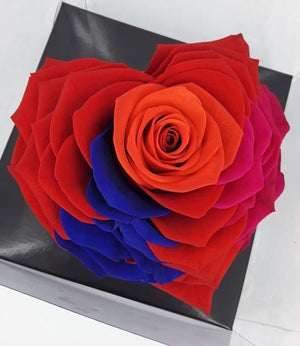 Heart rose: Heart Shape Jumbo Tricolor 001