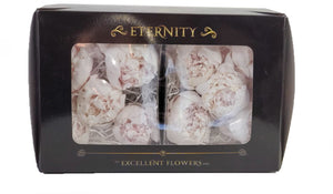 Peonies: Light Pink Preserved Peonies * Box of 10 Preserved Peonie Heads