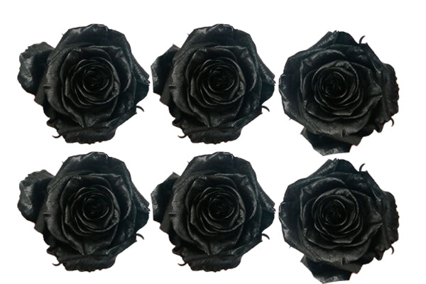 Medium: Black Night Metallic  Preserved Rose * Box of 6 Preserved Rose Heads