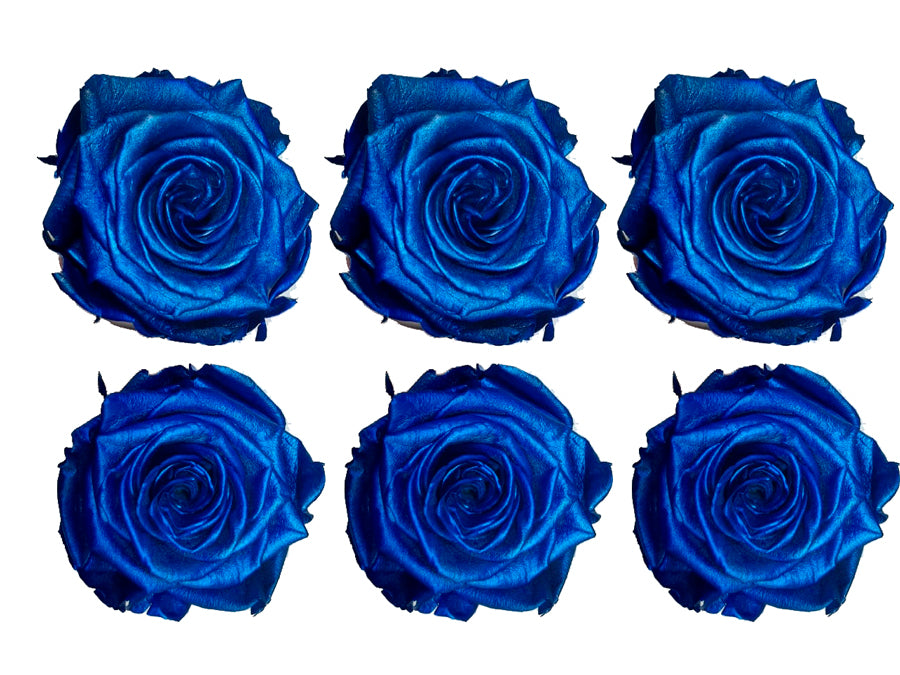 Medium: Blue Metallic  Preserved Rose * Box of 6 Preserved Rose Heads