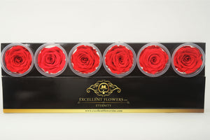 Medium: Bright Red Preserved Rose * Box of 6 Preserved Rose Heads