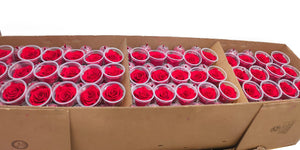 Bulk Box:  Bright Red  Preserved Medium Rose  *Box of 327 Preserved Rose Heads