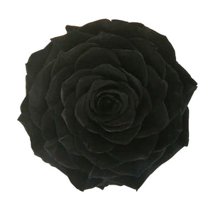 black night jumbo rose