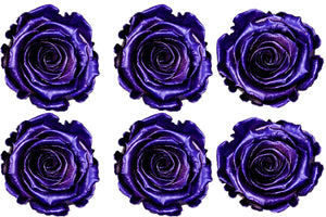 Medium: Dark Purple Metallic  Preserved Rose * Box of 6 Preserved Rose Heads