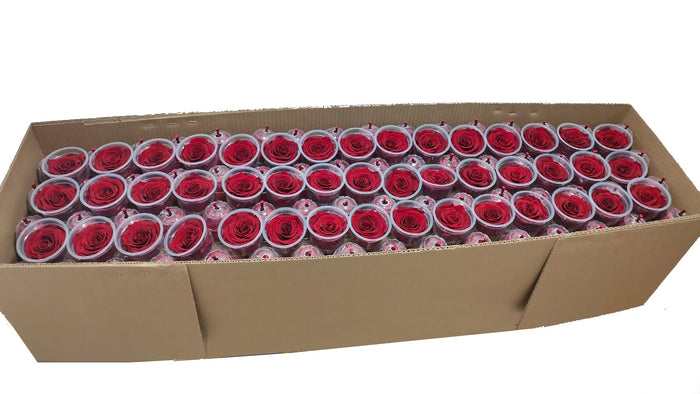 Bulk Box:  Dark Red *Box of 327 Preserved Roses I Free delivery in the USA