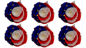 Large: USA Flag Preserved Rose *Box of 6 Preserved Rose Heads