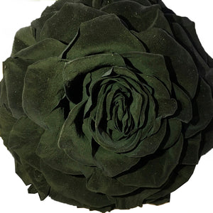 Jumbo rose: Forest Green Jumbo