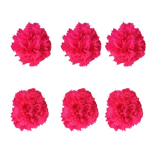 Carnations: Fuchsia Preserved Carnation * Box of 6 Preserved Carnation Heads