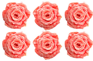 Medium: Salmon Preserved Rose * Box of 6 Preserved Rose Heads