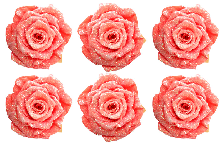 Medium: Glitter Salmon Preserved Rose * Box of 6 Preserved Rose Heads