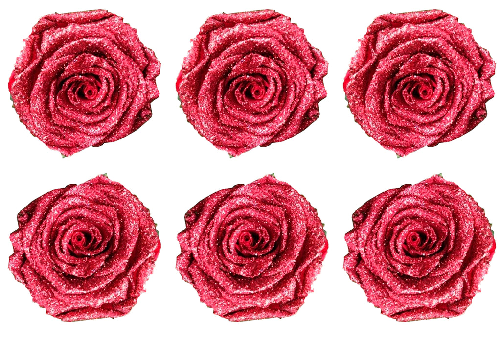 Medium: Ruby Preserved Rose * Box of 6 Preserved Rose Heads