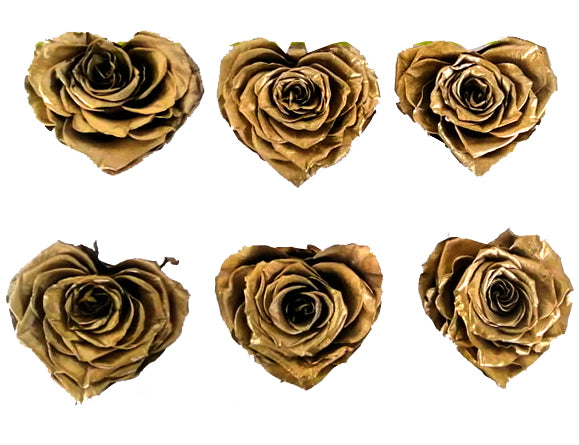 Large Heart: Golden Heart Shape  Preserved Rose *Box of 6 Preserved Rose Heart Heads