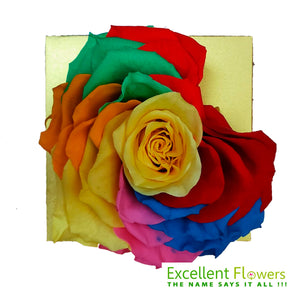 Heart Shape Jumbo Rainbow