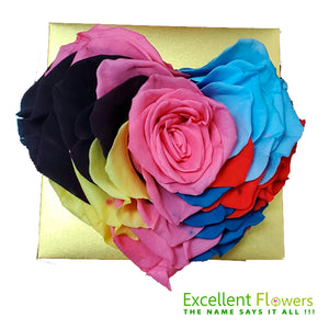Heart rose: Heart Shape Jumbo Rainbow 002