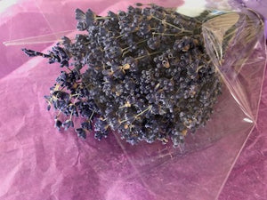 Stuff: French Lavender Grand Bleu I 25 bunches pack