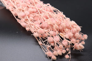 Stuff: Love Fruit Light Pink I 30 bunches pack