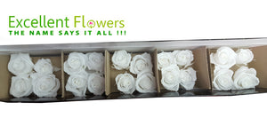 Mini Roses: Pure White  Preserved Mini Rose * Box of 20 Preserved Rose Heads