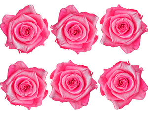 Medium: Pink Pearl Preserved Rose * Box of 6 Preserved Rose Heads