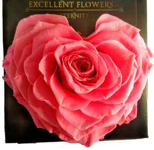 Heart rose: Pink Heart Shape Jumbo Preserved Rose