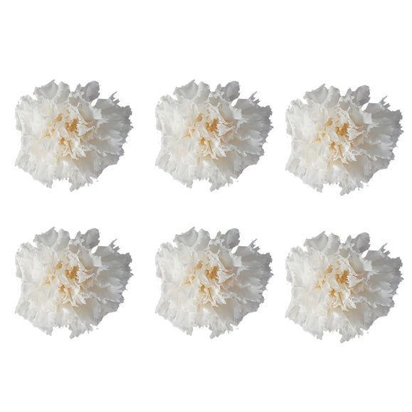 Carnations: Pure White Preserved Carnation * Box of 6 Preserved Carnation Heads