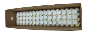 Bulk Box: Pure White Preserved Medium Rose  *Box of 327 Preserved Rose Heads