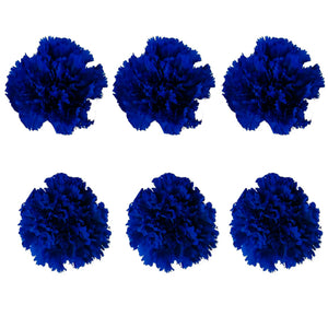 Carnations: Royal Blue Preserved Carnation * Box of 6 Preserved Carnation Heads