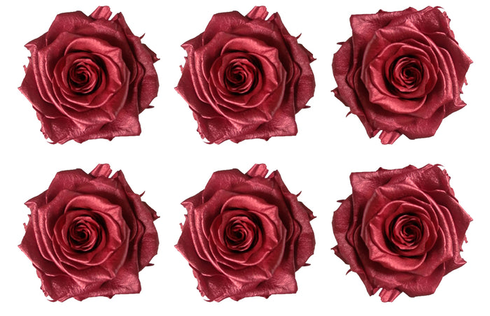 Medium: Rubi Metallic Preserved Rose * Box of 6 Preserved Rose Heads