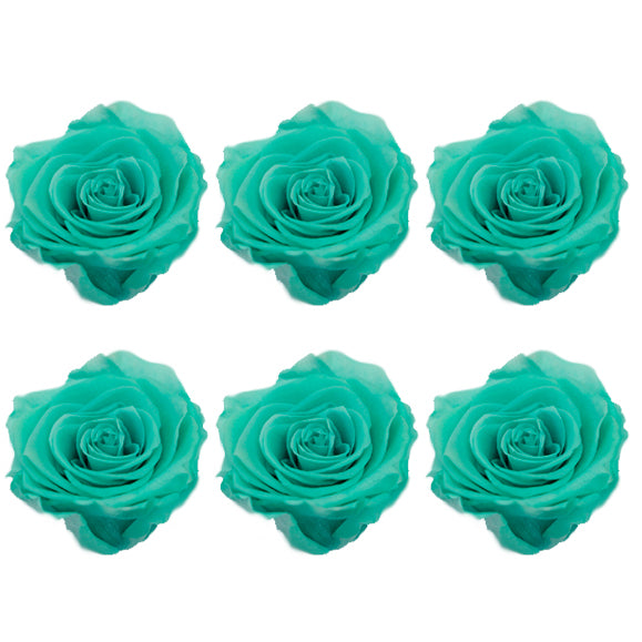 Medium: Turquoise Preserved Rose * Box of 6 Preserved Rose Heads