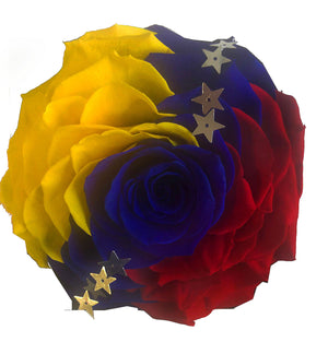 Jumbo rose: Venezuela Preserved Flag Rose