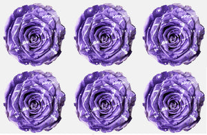 Medium: Lavender Festiva  Preserved Rose * Box of 6 Preserved Rose Heads