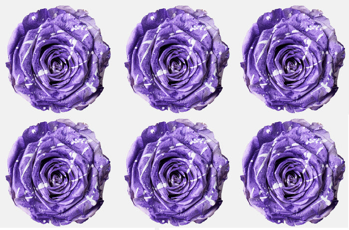 Medium: Lavender Festiva  Preserved Rose * Box of 6 Preserved Rose Heads