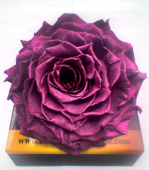 Jumbo rose:  Metallic Violet Jumbo Rose