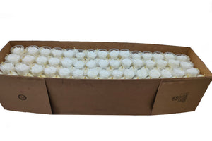 Bulk Box: Pure White Preserved Medium Rose  *Box of 327 Preserved Rose Heads