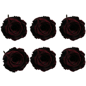 Medium: Burgundy * Box of 6 Preserved Rose Heads
