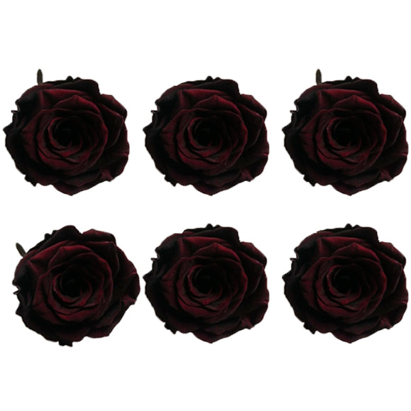 Medium: Burgundy * Box of 6 Preserved Rose Heads