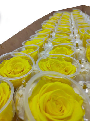 Bulk Box: Sun Yellow Preserved Medium Rose  *Box of 327 Preserved Rose Heads